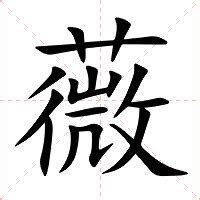 薇的意思|薇：薇的意思/造詞/解釋/注音